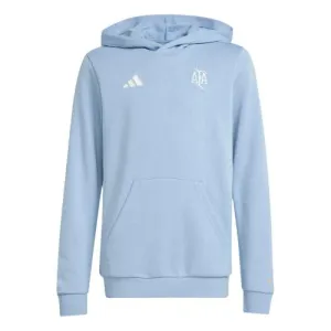 Adidas Youth Argentina Anniversary Hoodie