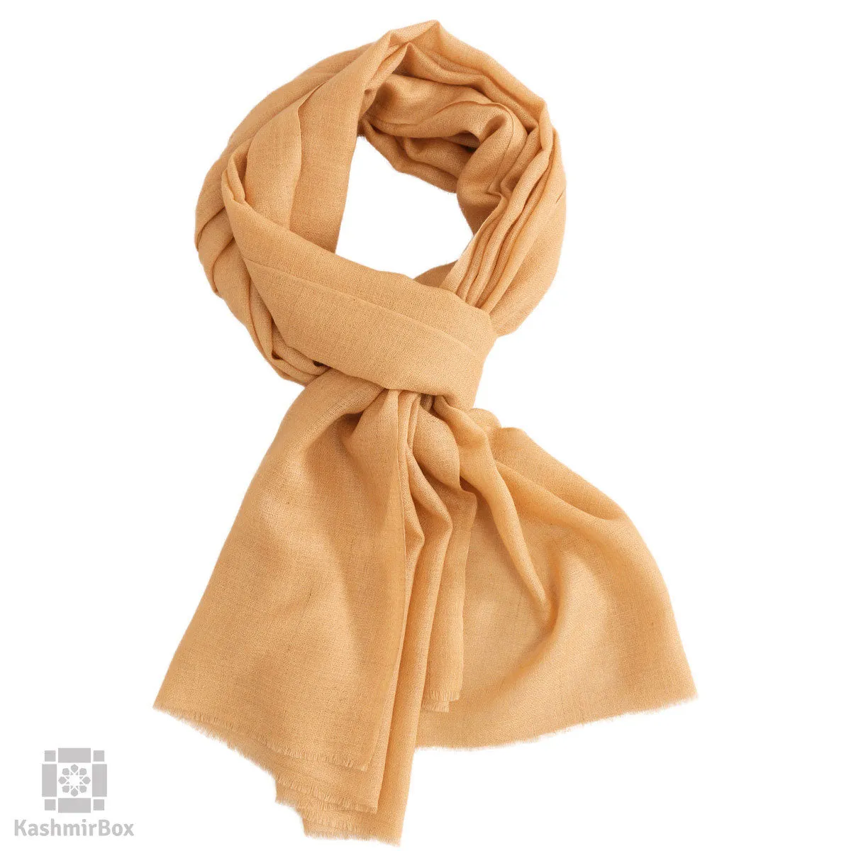 Sepia Cashmere Pashmina Stole